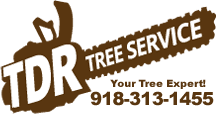 TDR Tree Service